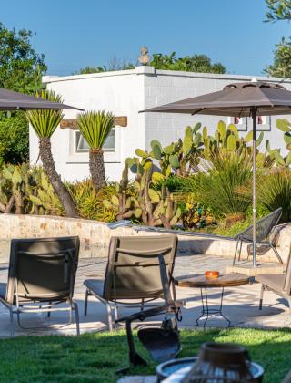 Jardin avec cactus, chaises longues et parasols.